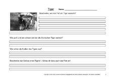 Tiger-Fragen-2.pdf